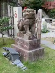 妙行寺の狛犬