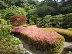 長壽寺（長寿寺）(神奈川県)