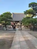 葛井寺(大阪府)