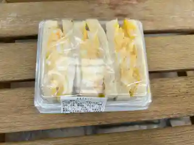 諏訪大社下社秋宮(長野県)