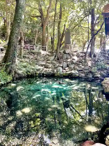 泉神社(茨城県)
