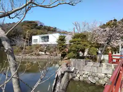 鶴岡八幡宮(神奈川県)