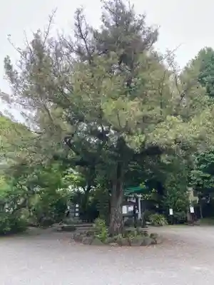 安楽院(神奈川県)