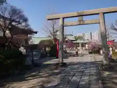 石濱神社の鳥居