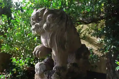 王宮伊豆神社の狛犬