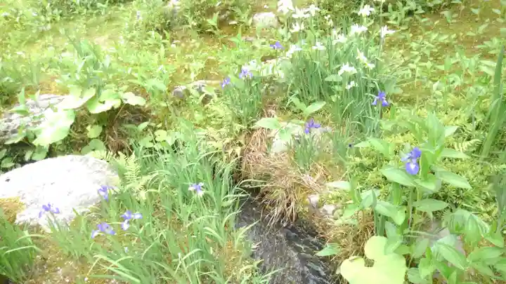 天龍寺(京都府)