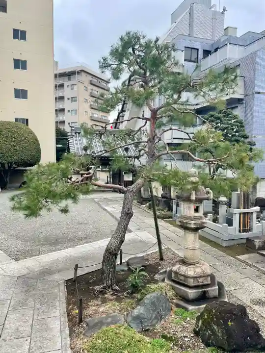 来迎寺の{uncategorized: "未分類", other: "その他", undefined: "問題あり", building: "その他建物", grave: "お墓", sacred_gate: "鳥居", guardian: "狛犬", statue: "像", buddha: "仏像", history: "歴史", nature: "自然", garden: "庭園", animal: "動物", pagoda: "塔", temizu: "手水舎", mountain_gate: "山門・神門", sanctuary: "本殿・本堂", subordinate: "末社・摂社", art: "芸術", scenery: "景色", jizo: "地蔵", ema: "絵馬", goshuin: "御朱印", omikuji: "おみくじ", items: "授与品その他", amulet: "お守り", goshuincho: "御朱印帳", eats: "食事", festival: "お祭り", votive_dance: "神楽", shichigosan: "七五三参", wedding: "結婚式", experience: "体験その他", initially: "初詣", around: "周辺", anti_infection: "感染症対策"}