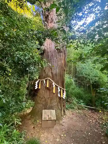 陸奥総社宮(宮城県)