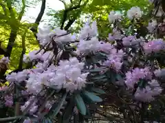 室生寺(奈良県)