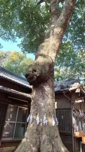 氷川女體神社(埼玉県)