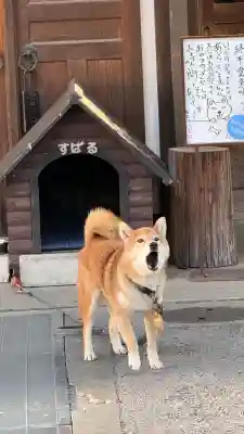 感通寺(東京都)