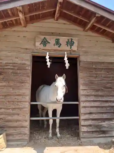 小室浅間神社の動物