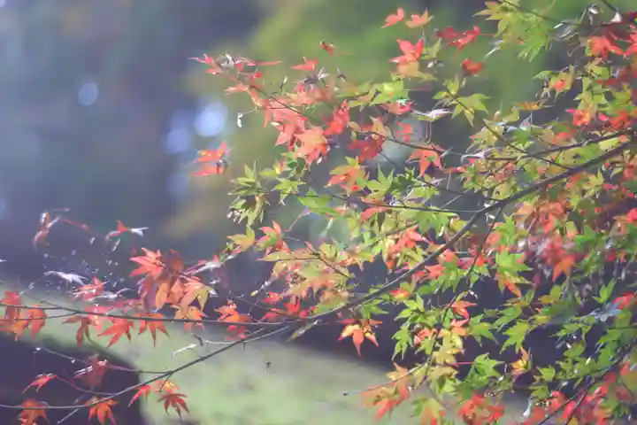 由岐神社(京都府)