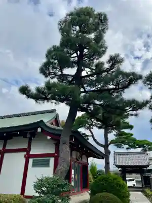 善明寺(東京都)