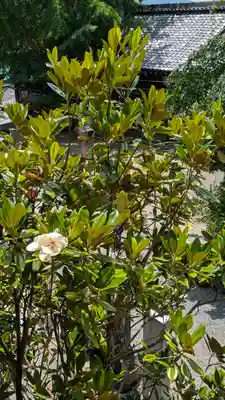 松ヶ崎大黒天 妙圓寺（妙円寺）(京都府)