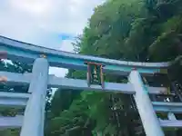 三峯神社の鳥居