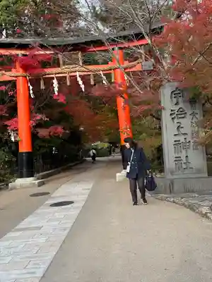 宇治上神社の鳥居