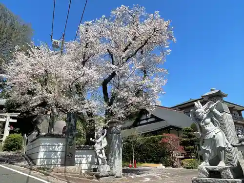 無量寺(神奈川県)