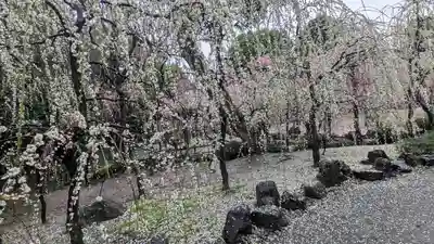 城南宮(京都府)