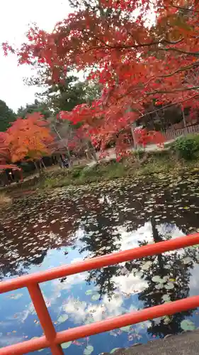 大原野神社の庭園