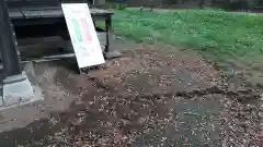 酒門神社の動物