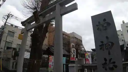 柏神社の鳥居