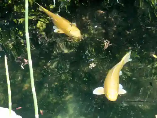 宇賀神社(神奈川県)