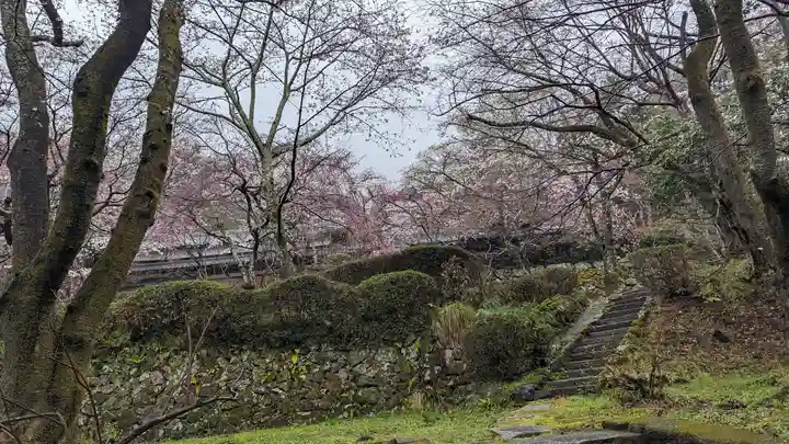 勝持寺(花の寺)(京都府)