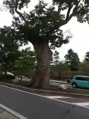 松本神社(長野県)