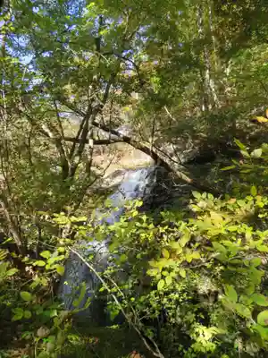 五龍王神社(栃木県)