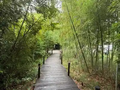 武蔵一宮氷川神社(埼玉県)