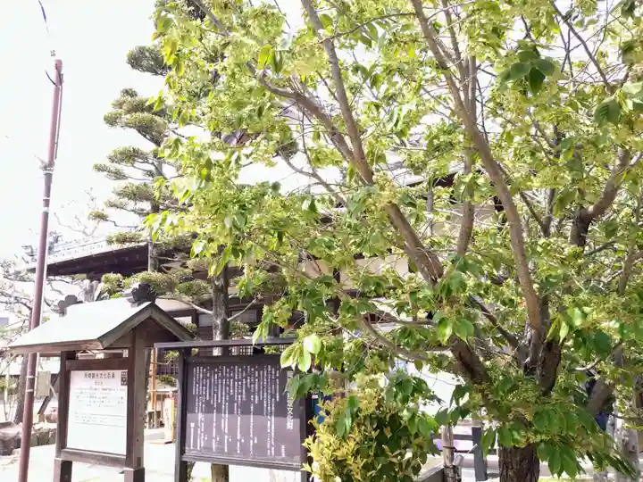 松應寺(愛知県)