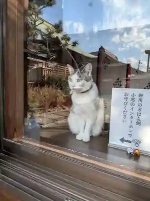 本郷氷川神社(東京都)