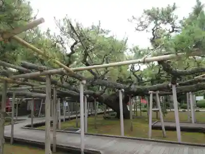善養寺(東京都)