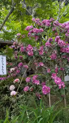 當麻寺西南院(奈良県)