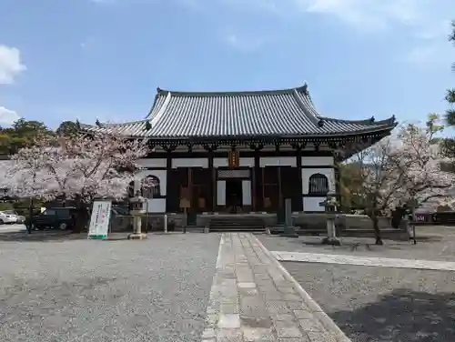 くろ谷 金戒光明寺(京都府)