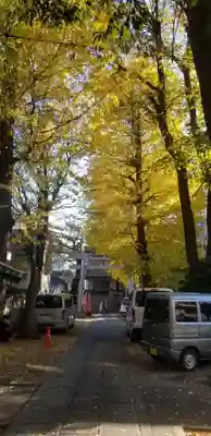 穏田神社の鳥居