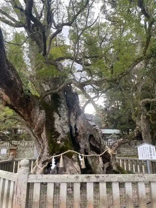 大山祇神社の{uncategorized: "未分類", other: "その他", undefined: "問題あり", building: "その他建物", grave: "お墓", sacred_gate: "鳥居", guardian: "狛犬", statue: "像", buddha: "仏像", history: "歴史", nature: "自然", garden: "庭園", animal: "動物", pagoda: "塔", temizu: "手水舎", mountain_gate: "山門・神門", sanctuary: "本殿・本堂", subordinate: "末社・摂社", art: "芸術", scenery: "景色", jizo: "地蔵", ema: "絵馬", goshuin: "御朱印", omikuji: "おみくじ", items: "授与品その他", amulet: "お守り", goshuincho: "御朱印帳", eats: "食事", festival: "お祭り", votive_dance: "神楽", shichigosan: "七五三参", wedding: "結婚式", experience: "体験その他", initially: "初詣", around: "周辺", anti_infection: "感染症対策"}