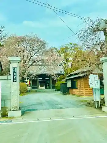 大山寺の御朱印 2024年04月