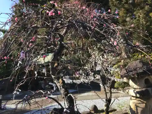 居神神社の自然