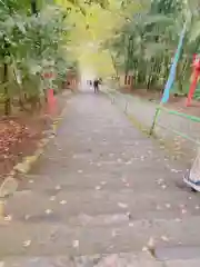 新田神社の建物その他