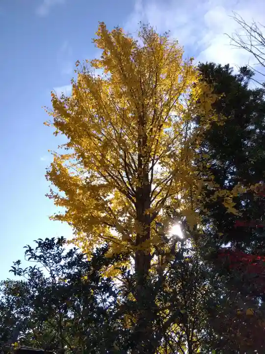 木田神社(福井県)