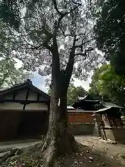 祝田神社(奈良県)