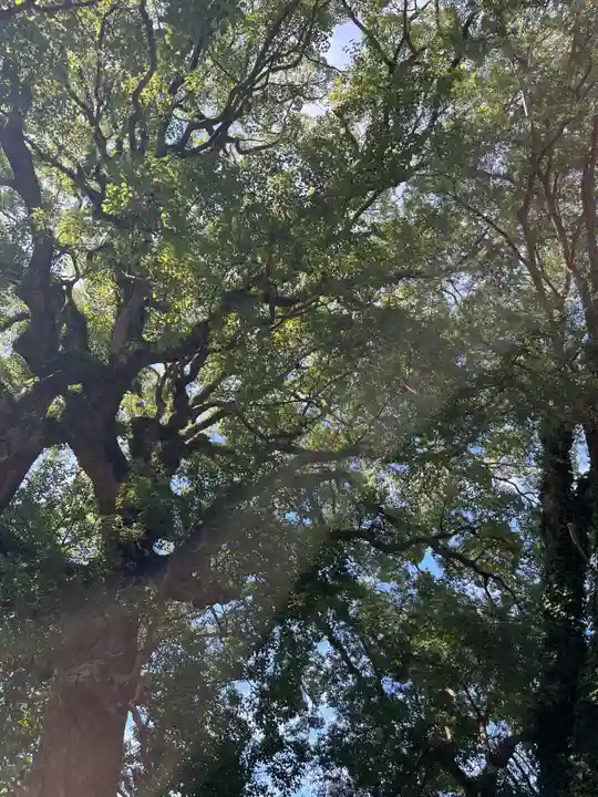 中川八幡神社(長崎県)