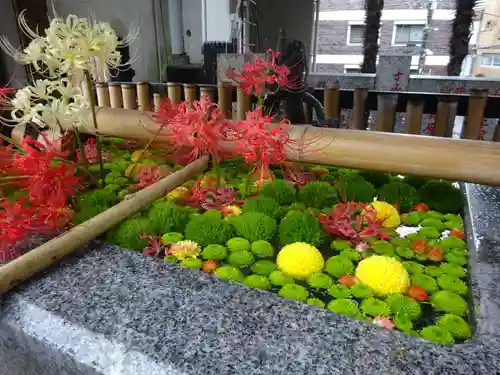 高円寺氷川神社の手水