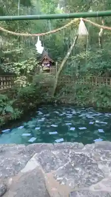 八重垣神社(島根県)
