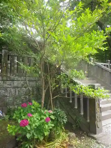 御霊神社の自然