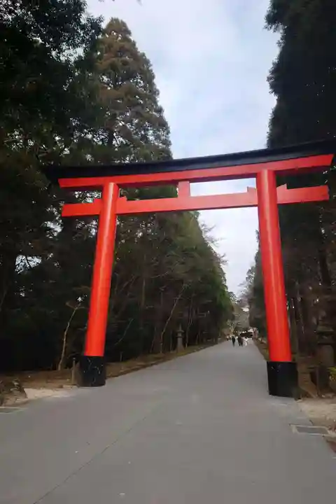 霧島神宮(鹿児島県)