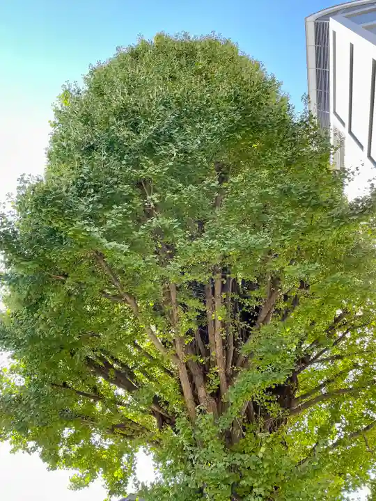 稼穡稲荷社(東京都)