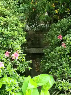 阿佐ヶ谷神明宮(東京都)